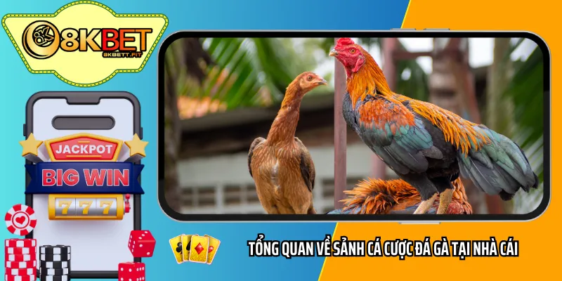 Tổng quan về sảnh cá cược đá gà tại nhà cái